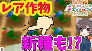 #11【牧場物語】レア作物収穫とお月見の闇 再会ミネラルタウン【switch】