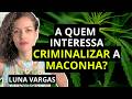 Quem Criou a Guerra às Drogas e Quem Paga a Conta? Luna Vargas Fala Sobre o Futuro da Legalização