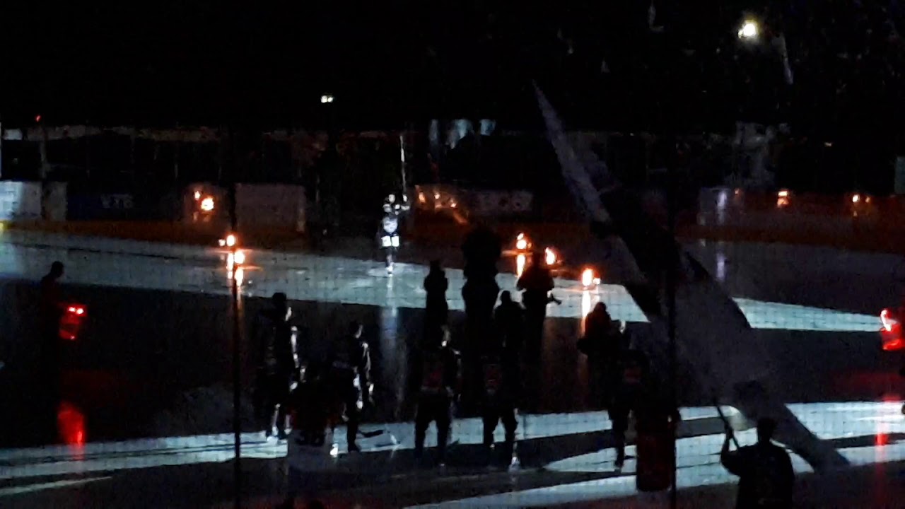 Löwen frankfurt Einlauf