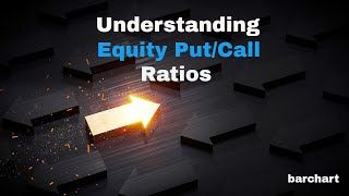 Understanding Equity Put/Call Ratios