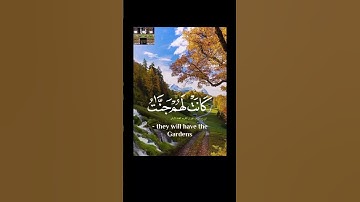 لا إله إلا الله مخلصين له الدين ولو كره الكافرون #تلاوات #قران_كريم #تلاوة_هادئة #قرآن #تلاوةخاشعة