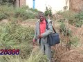 Safari Ya Kanaani Safari Ya Kanaani
