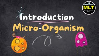 Introduction to Microorganisms || Explore Microorganism world