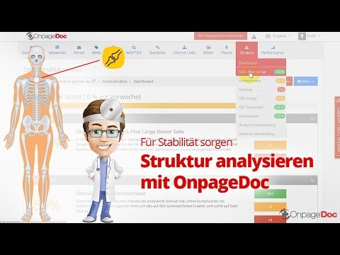 Seitenstruktur analysieren mit OnpageDoc