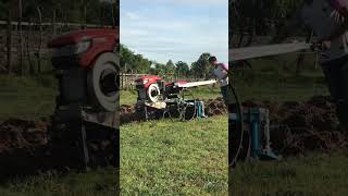 IMG 4632
