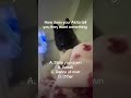 #akitaworld #dogmom #quiz