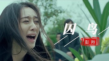 彭羚《囚鸟》我像是一个你可有可无的影子，和寂寞交换着悲伤的心事