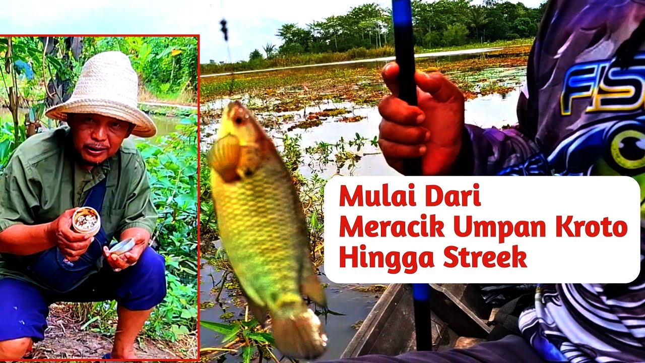 Dari meracik umpan kroto hingga strike terus