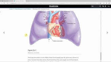 MyBRADYLab Tutorial   Paramedic