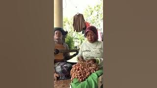 viral‼️ ibuk - ibuk petani sholawat sambil ngupas bawang