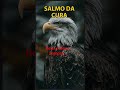 Reflexão da Bíblia para você Meditar hoje #deustemumapalavrapravoce #reflexão #palavraquesalva