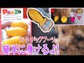 犬の靴♪肉球保護ラバーキャップ付けてみた【トイプードルのEnen君♪】