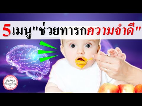 อาหารทารก : 5 เมนูอาหารทารก ช่วยทารก"ความจำดี" | อาหารบำรุงสมองทารก | เด็กทารก Everything