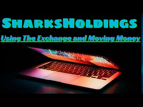 Using The Exchange and Moving Money Around Your Sharks Holdings Account