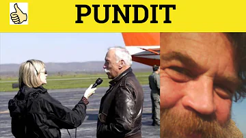 What exactly is a pundit?