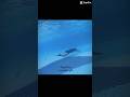 #xuhuongyoutube #swimming #swimmin #gáixinh #swim #gril #dayboi #lan #freediving #vinhomes #boi #gai