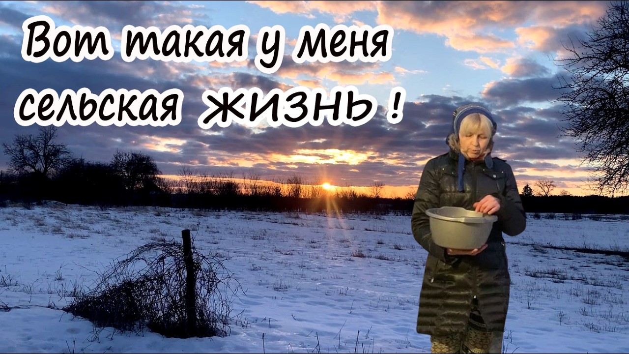 ЧТО У НАС ТВОРИТСЯ ЗА ДВОРОМ. ТАКОГО НЕ ПРИПОМНЮ | ЖИЗНЬ НА КРАЮ СЕЛА У ЛЕСА.