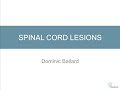 Spinal Cord Lesions