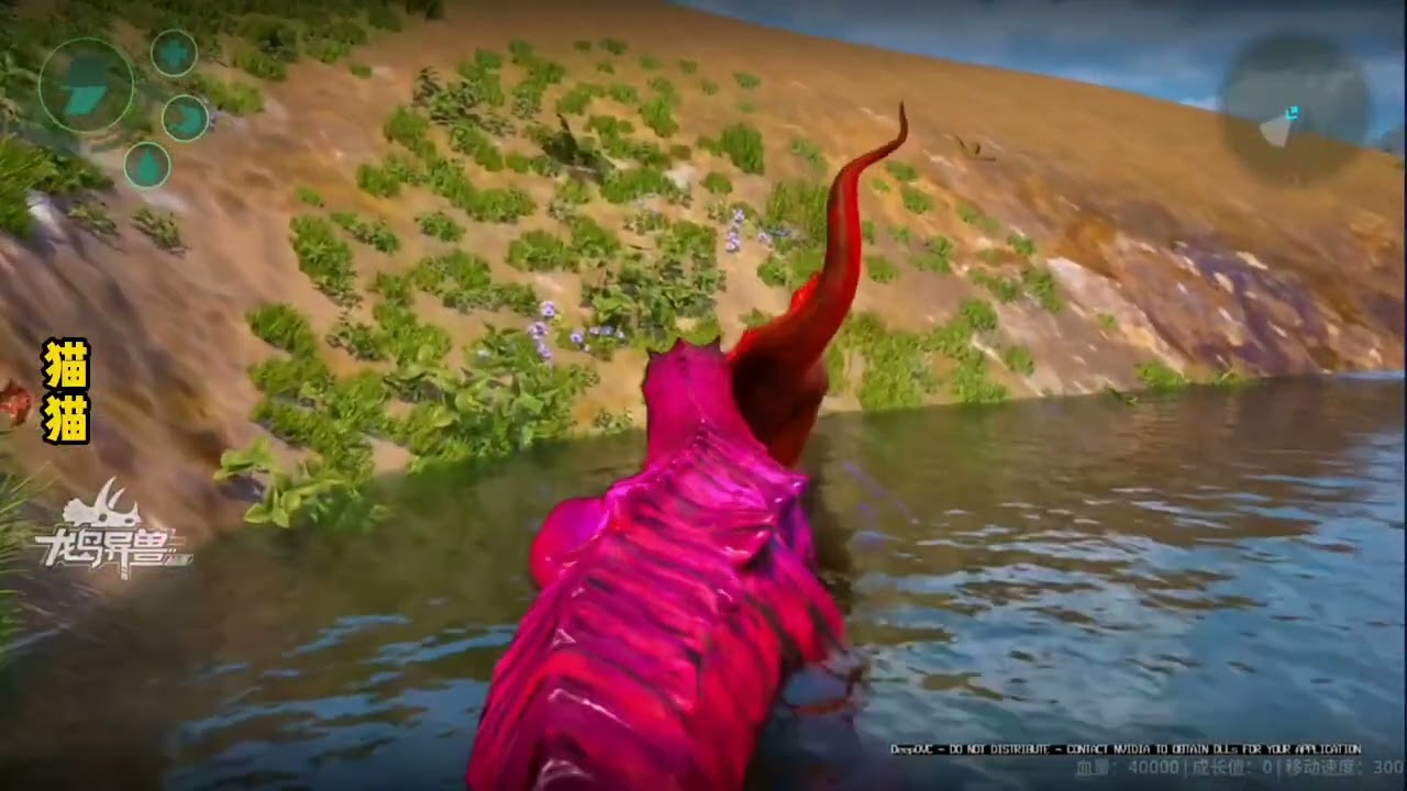 （8）26年3月5日 重生之我是一只霸王龙！#猫猫儿 #龙岛异兽憨豆 #龙岛异兽 #龙岛异兽起源