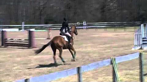 carolyn and solvent pine top 13