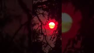 sunset during wildfire #nature #naturelovers sunset during wildfire #nature #naturelovers