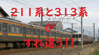 JR東海・東海道線で211系と313系 がすれ違います
