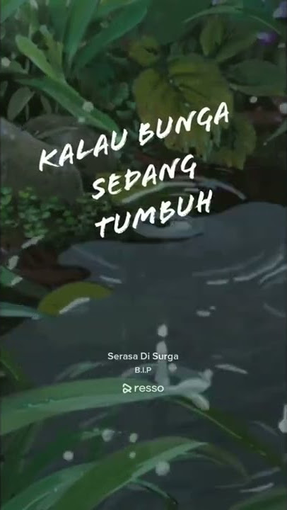 bip serasa di surga