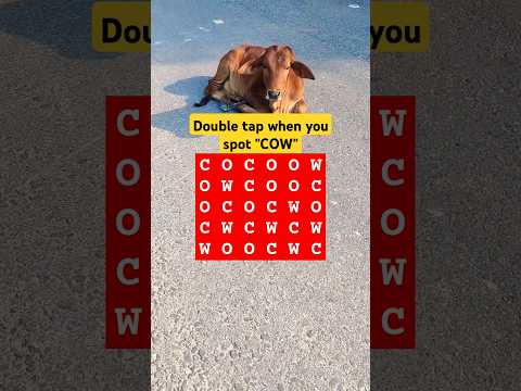 Observation Visual Test: