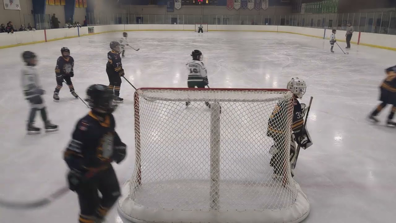 01/19/2026 — Chelsea Bulldogs — O Zone