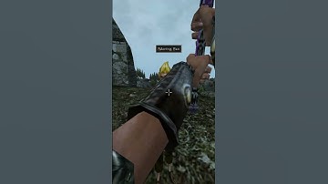 Killing the adoring fan in Morrowind every day until Skywind and Skyblivion are released Day - 373