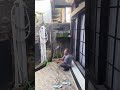 memadiin ayam hutan tulak