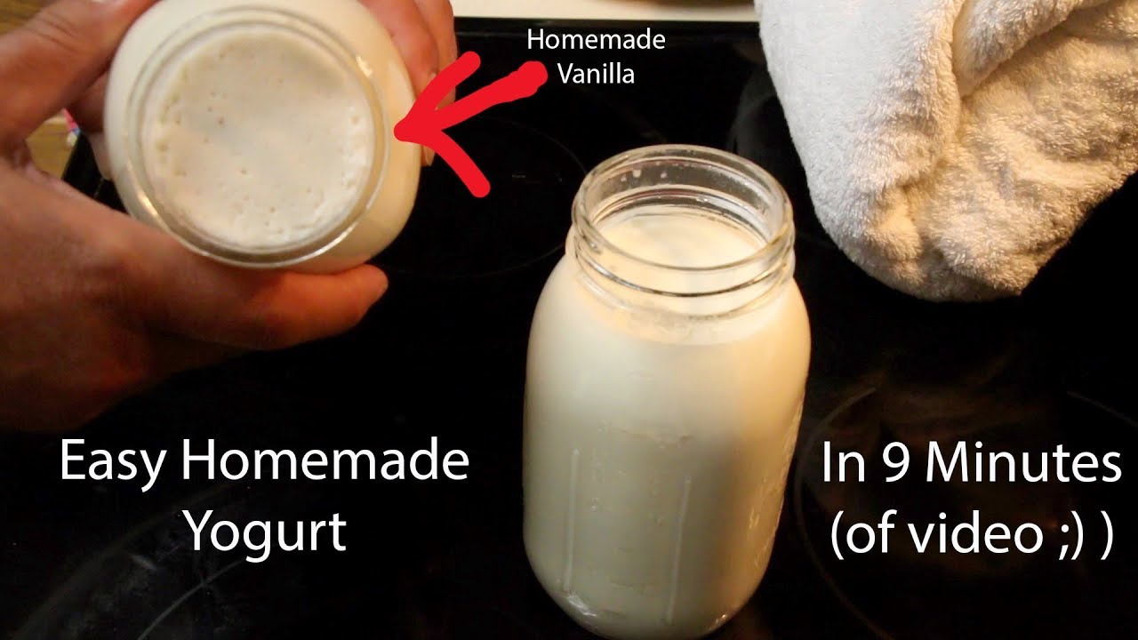 Yogurt Homemade and EASY! How to Make Yogurt YouTube