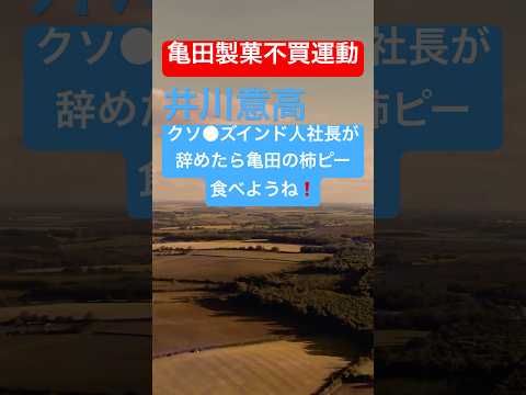 【不買運動】亀田製菓の株価が過去5年間で最安値付近まで下落。