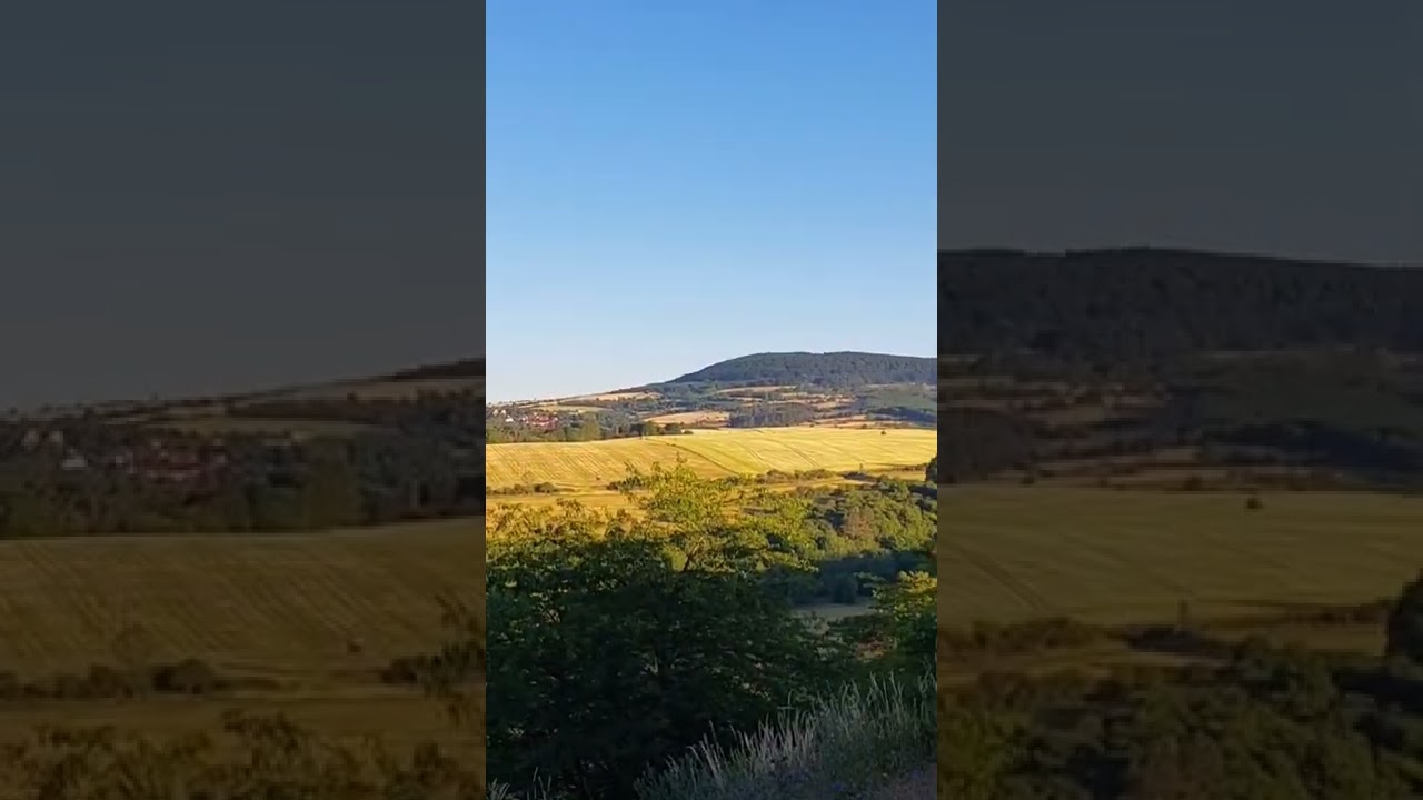 Дикая германия Дикая германия