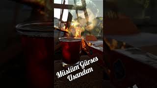 Müslüm Gürses Usandım