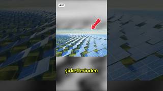 Bir Günde Milyar Dolar Kazanan Şirketler En Zengin 5