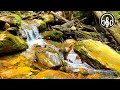 Soothing Sounds of a Mountain Stream For Sleep, Relaxation and Meditation