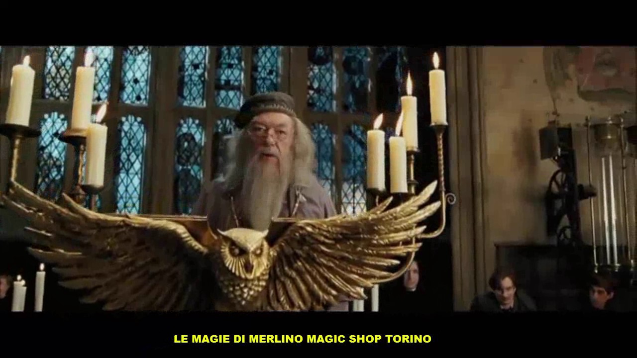 Harry Potter E I Segreti Di Silente