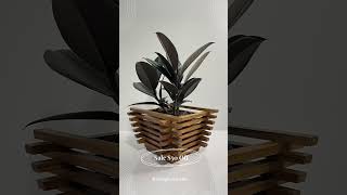 Introducing One and Only Iconic Piece “Handmade Teak Wood Plant Pot” Introducing One and Only Iconic Piece “Handmade Teak Wood Plant Pot”