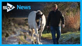 Veteran's bond with horse helps his PTSD recovery