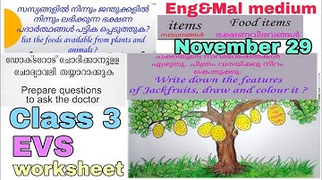 Class 3 EVS worksheet november 29 English and Malayalam medium | std 3 evs worksheet november 29