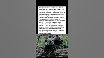 😭 France CRIES as Beloved Pandas Head Home to China! #wildlife #facts #shorts
