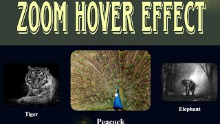 css image hover effects | image css effect |css image hover zoom | CSS image hover effect tutorial