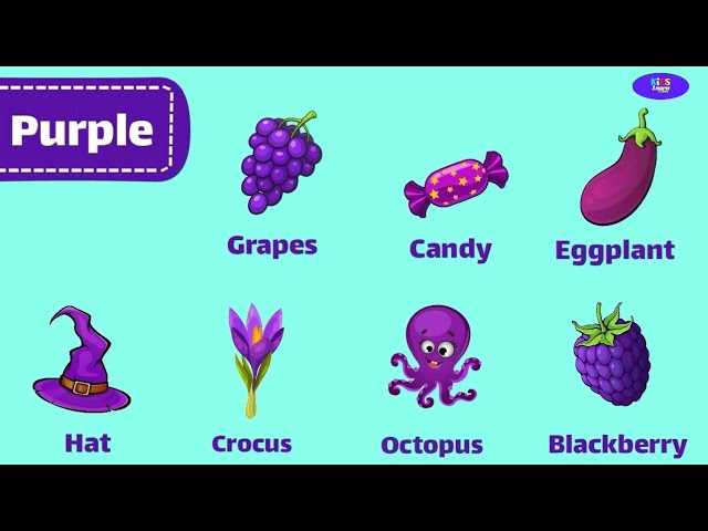 Things that are purple Learning Colors for Kids