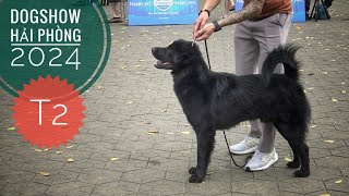 T2: Nhiếu Chó Bắc Hà đẹp lần đầu Lộ Diện/ Vietnam DogShow 2024/ NhamTuatTV  Dog in Vietnam