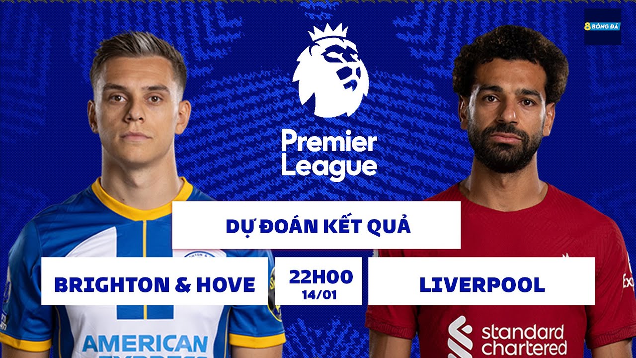 game heo den roi SOI KÈO, NHẬN ĐỊNH BÓNG ĐÁ | NGOẠI HẠNG ANH | BRIGHTON & HOVE VS LIVERPOOL