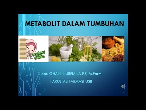 Video: Analisis Perbandingan Komprehensif Seni Bina Reseptor Tumbuhan Membongkar Protein Tuan Rumah Yang Mungkin Disasarkan Oleh Patogen