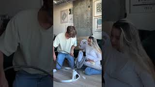 HARPPA Weddell Electric Baby Swing Unboxing