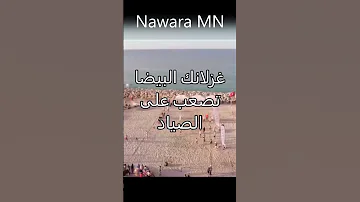 فريد الأطرش تـــونس أيا خضرا بساط الريح Lyrics 