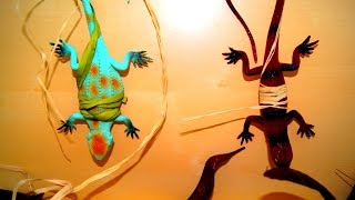 Животные. Крокодил и ящерицы. Игрушки. Мультик для детей. Животные. Крокодил и ящерицы. Игрушки. Мультик для детей.